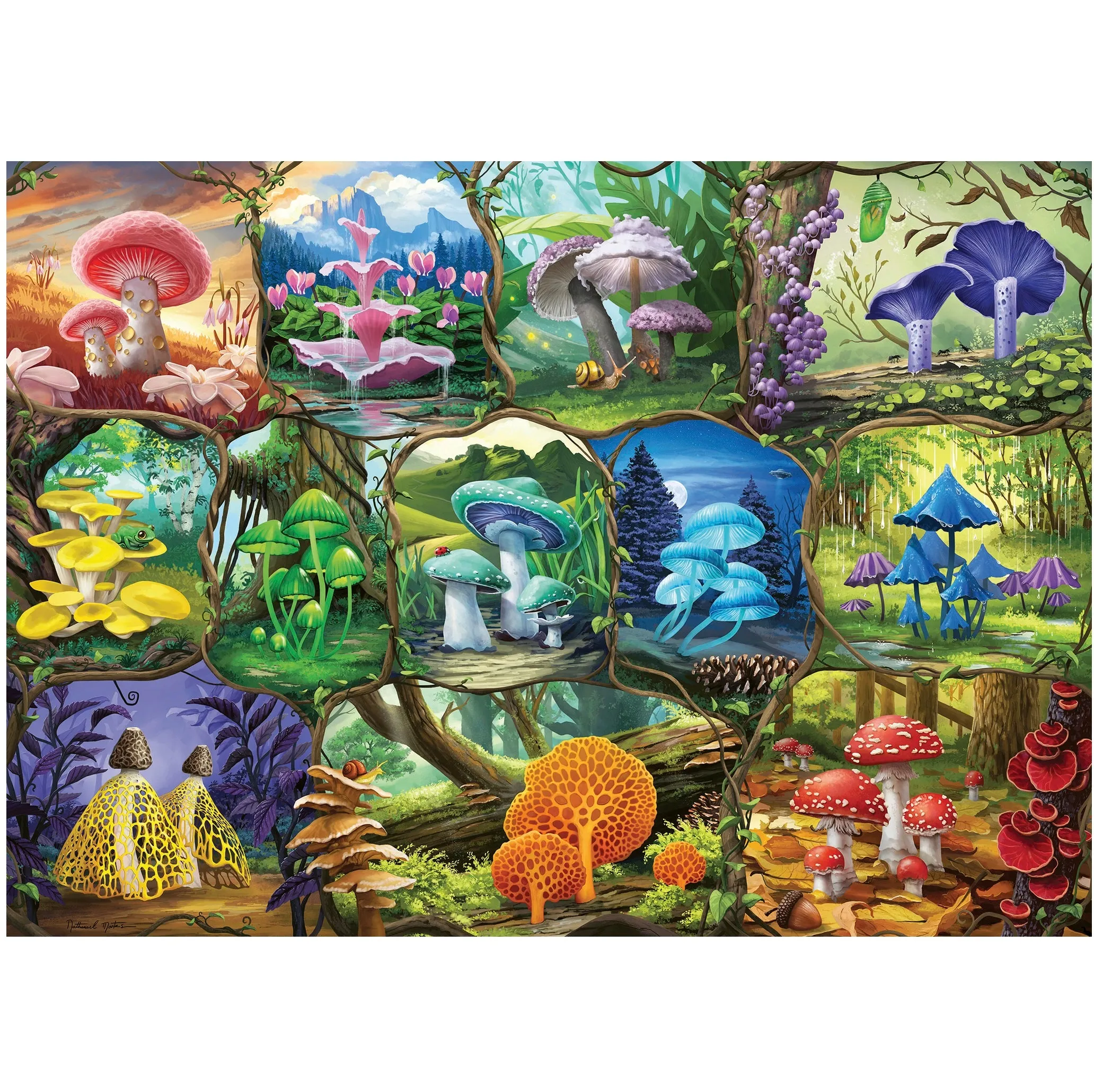 1000 pc Puzzle - Beautiful Mushrooms