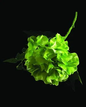 Beautiful Naie Green Artificial Flower