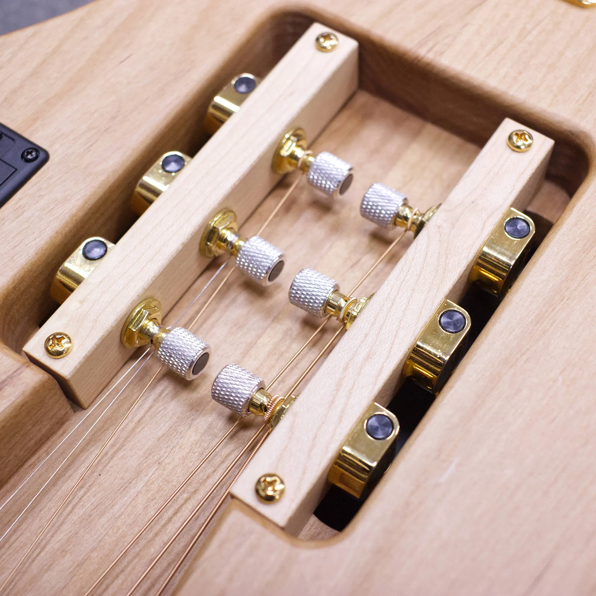 Escape Mark III Mod Shop (Alder/ Gold Hardware/ Locking Tuners)