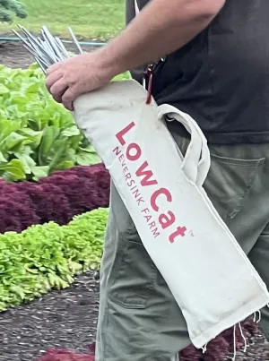 LowCat™ Carry and Storage Bag