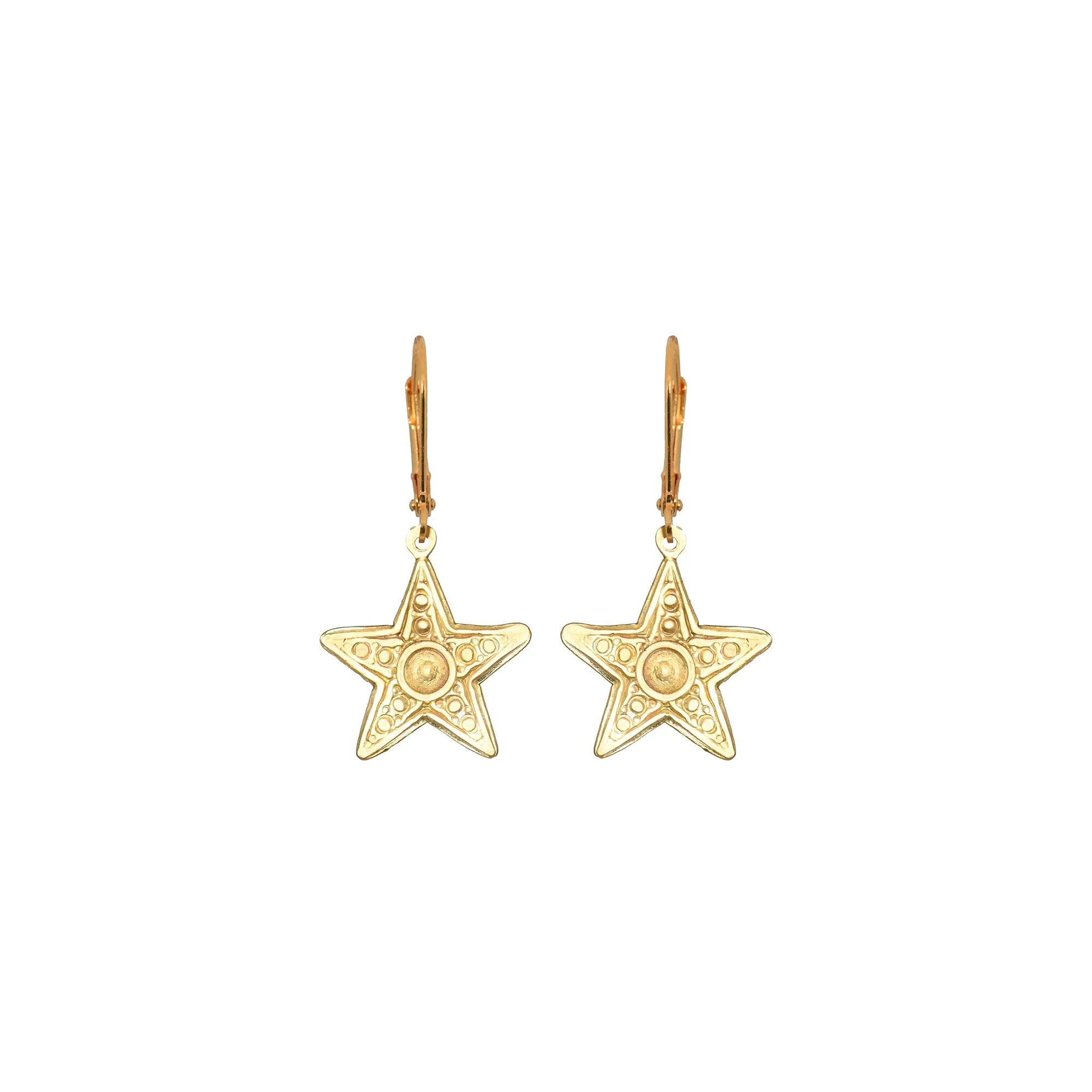 Small Star Earrings