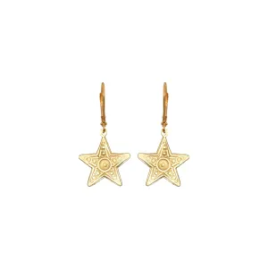 Small Star Earrings