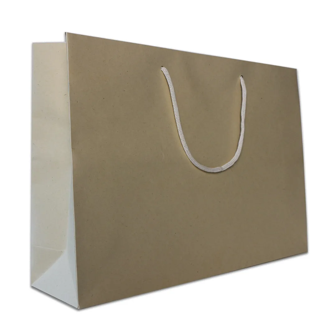 Sugarcane Paper Bag