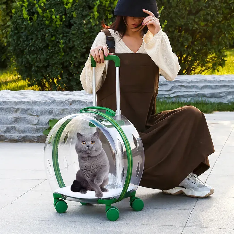 Transparent Pet Suitcase