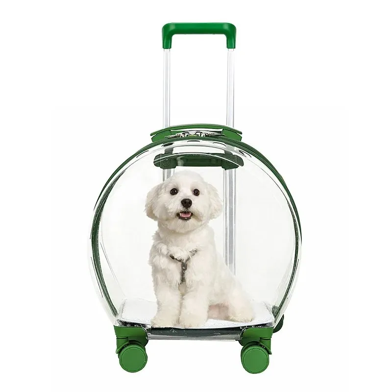 Transparent Pet Suitcase