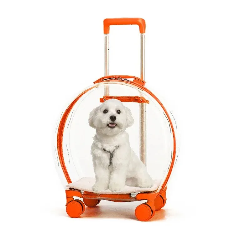 Transparent Pet Suitcase