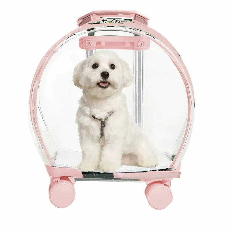 Transparent Pet Suitcase