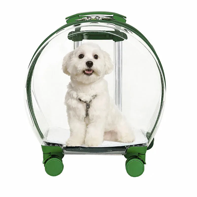 Transparent Pet Suitcase